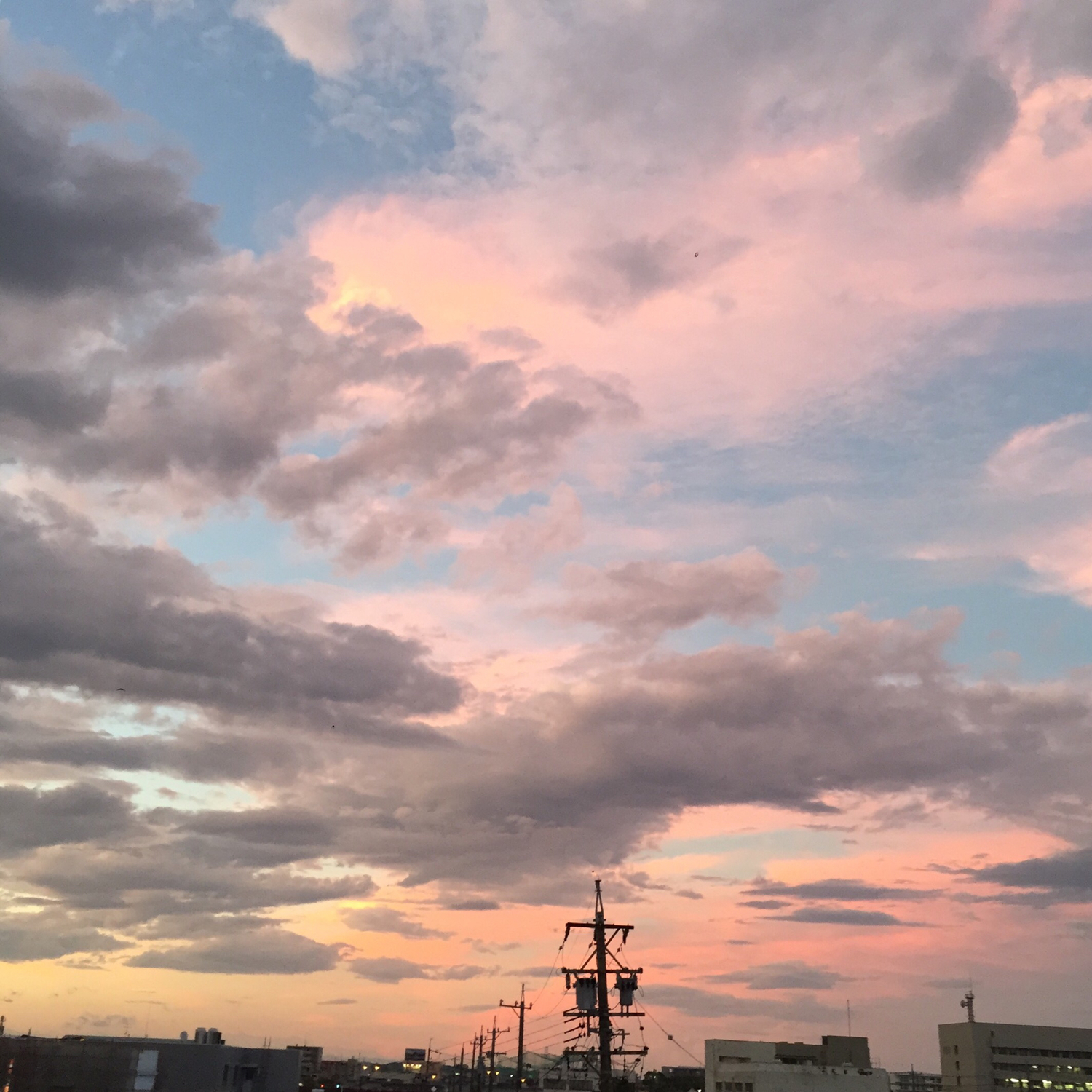 掴めそうな、ふわふわの雲を見上げて