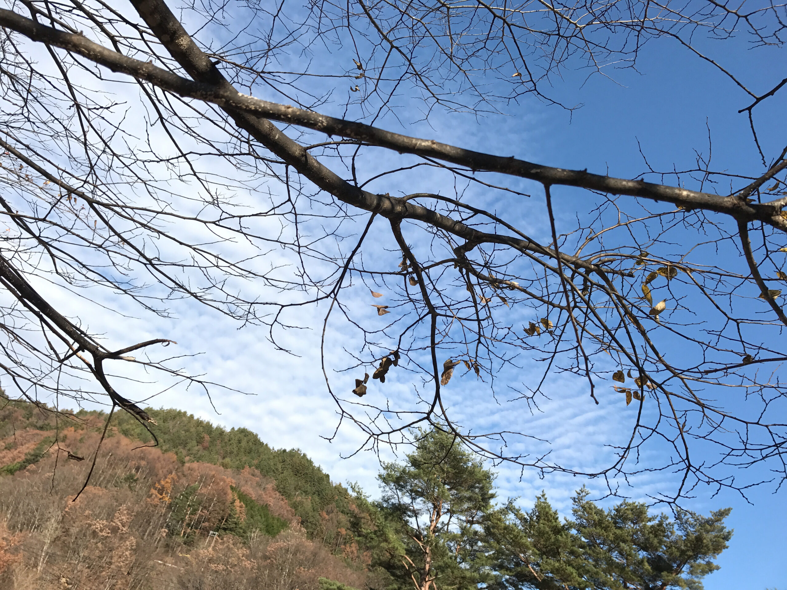 気にしたことがなかったかも