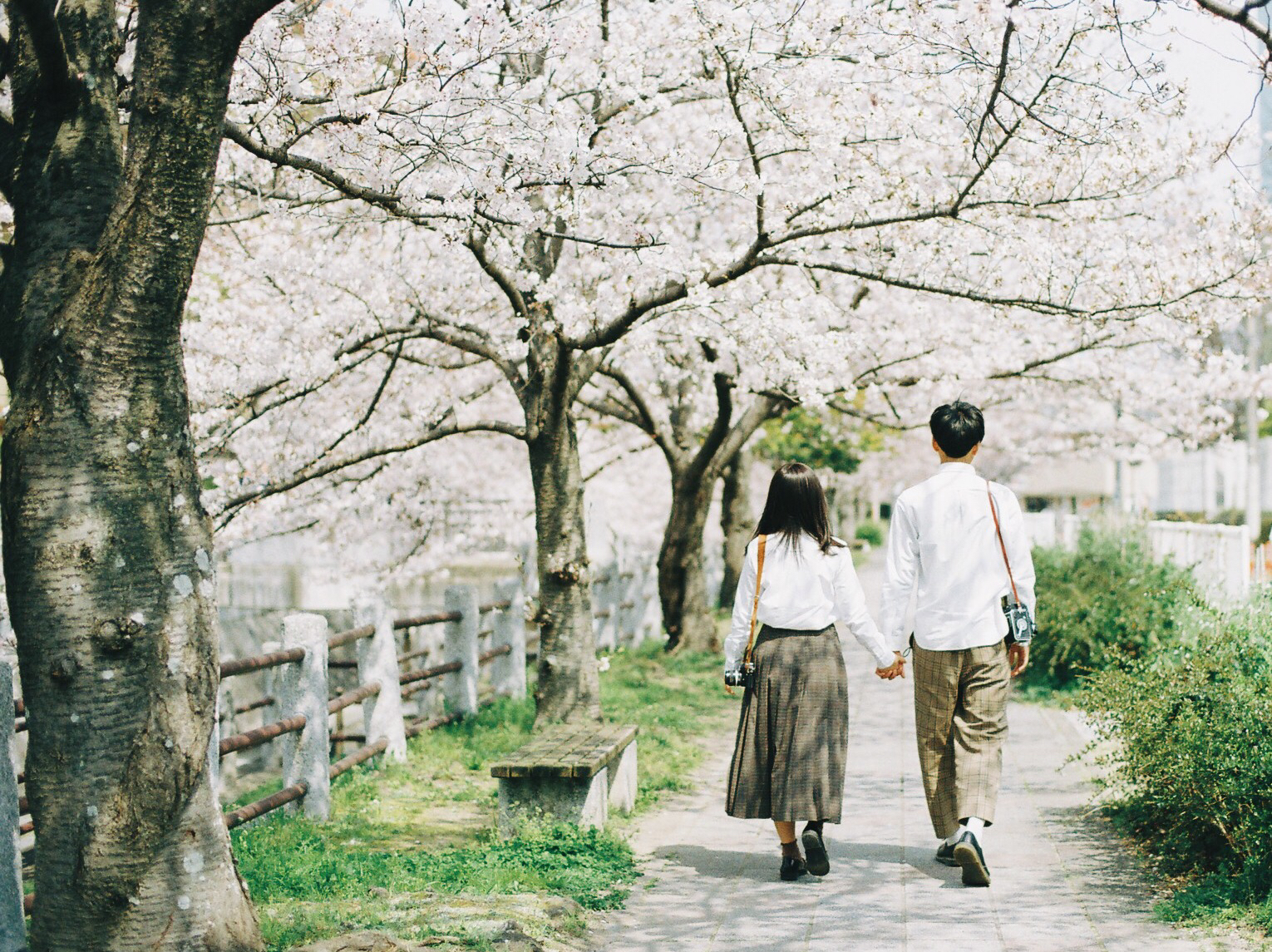 たくさんの春を見つけに行こう♡