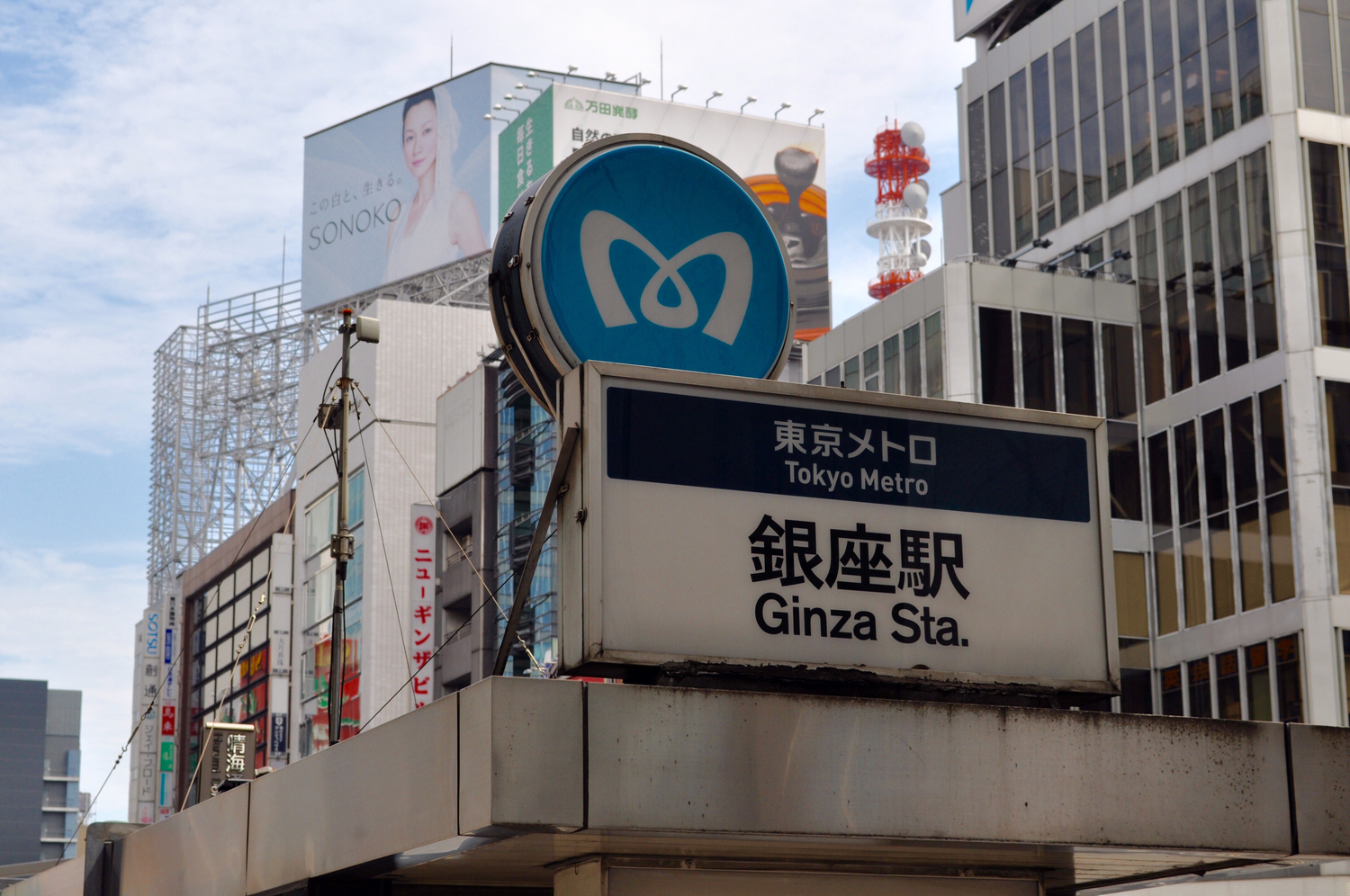 これぞトーキョー!王道おすすめエリア
