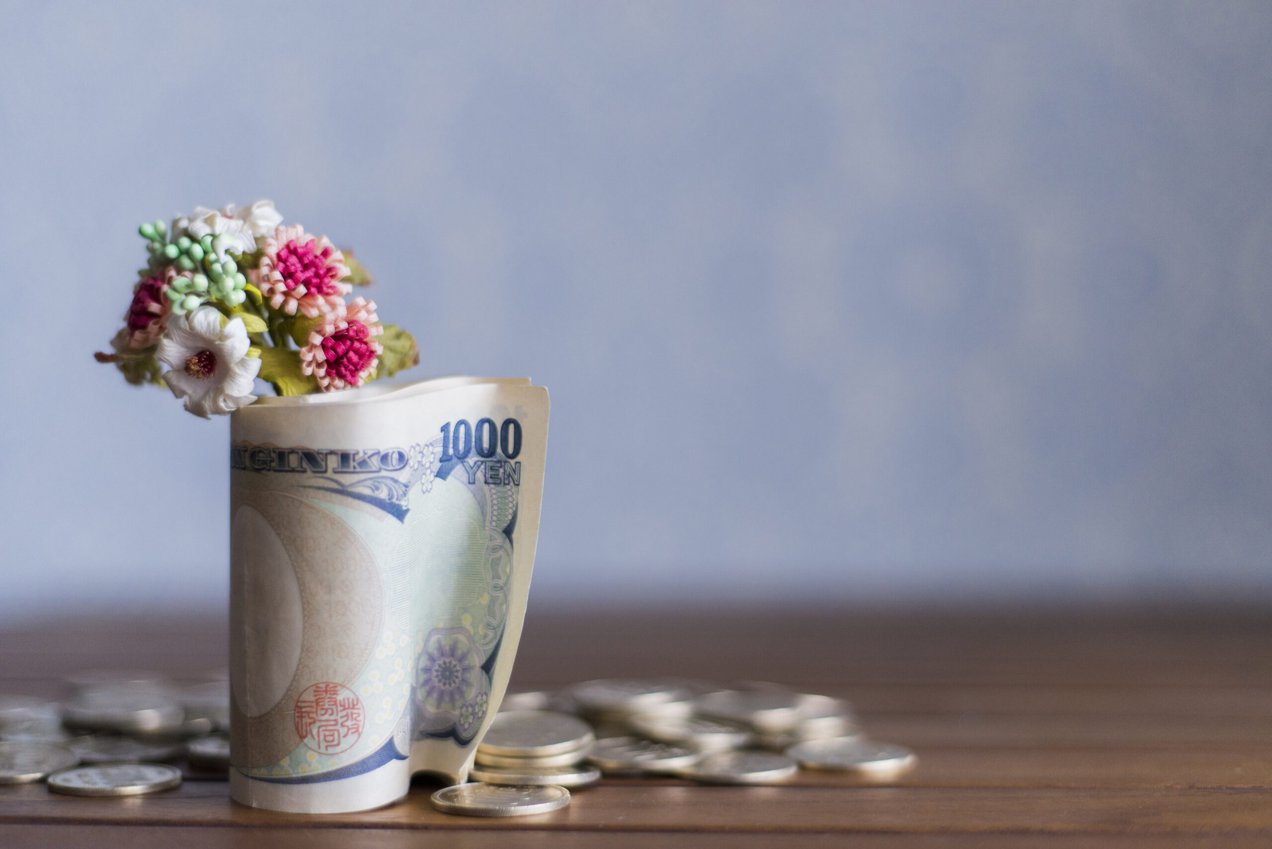 めちゃめちゃお金かかるんでしょ?
