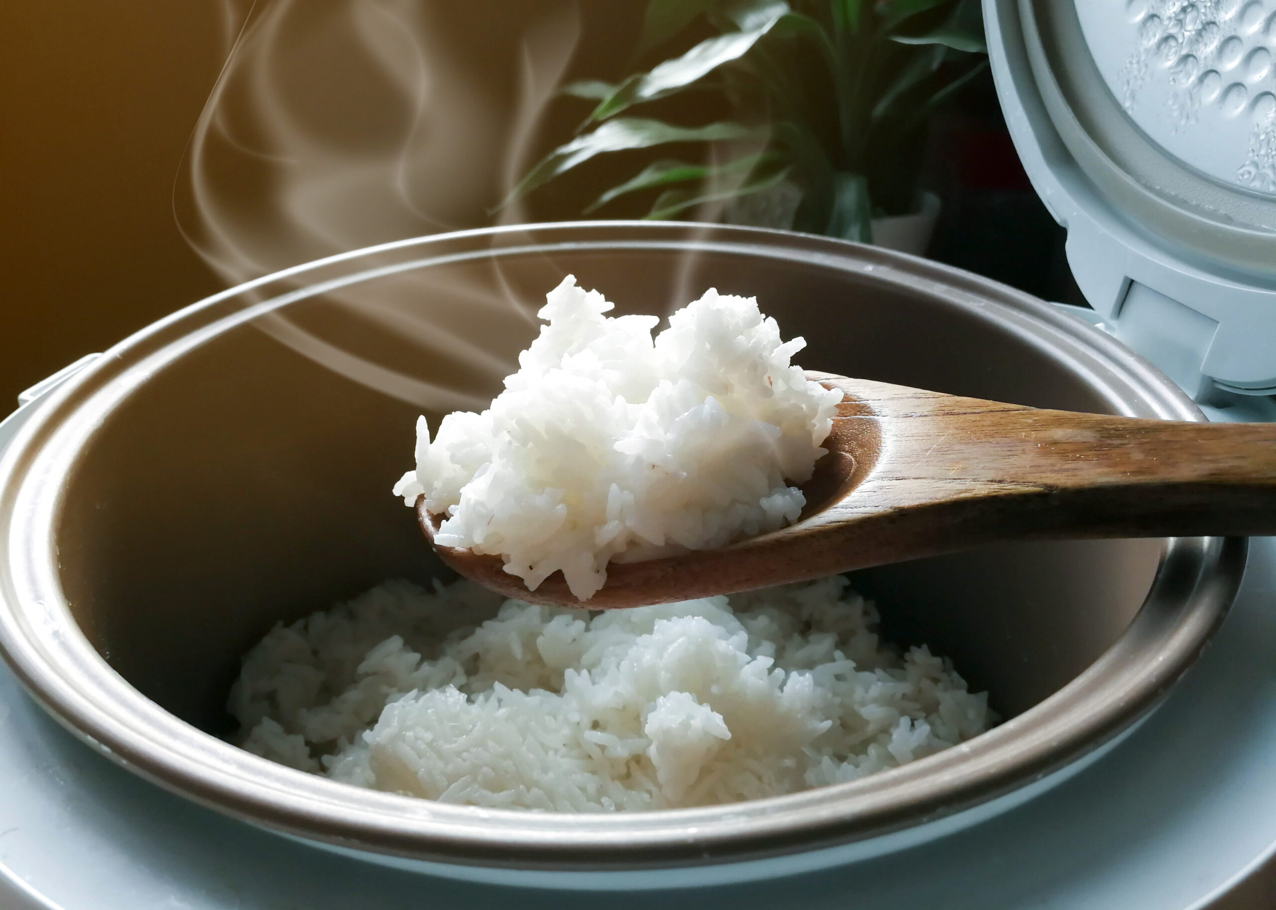元気に生活するために炭水化物は必要です!