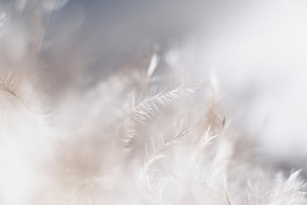 悩み|接近する場面に、恥ずかしくなる