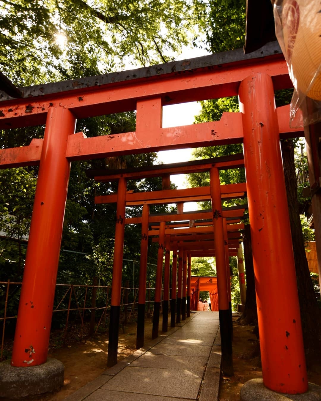 鳥居がたくさん並ぶスポット | 花園稲荷神社