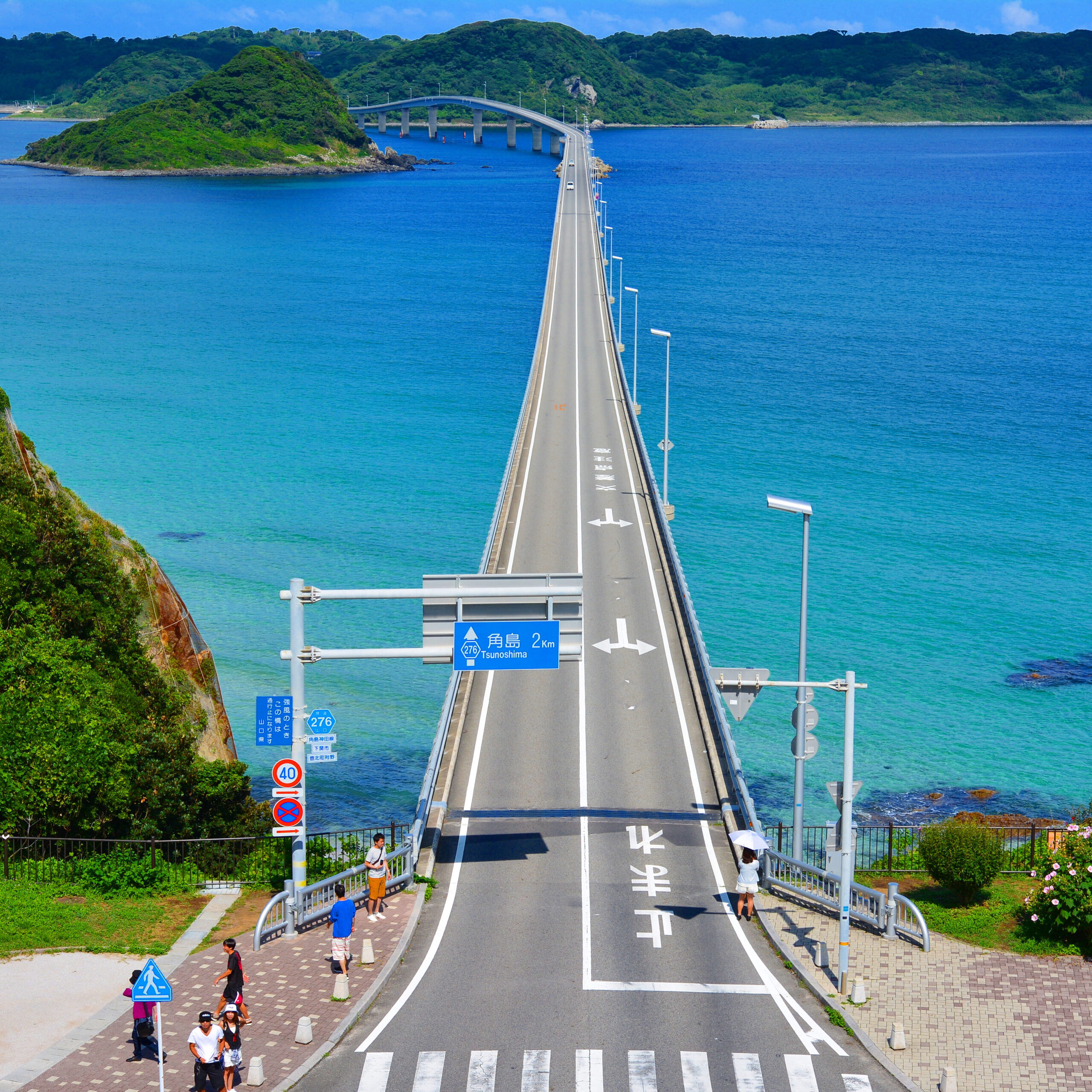 自分の毒出しにぴったりなものを見つける