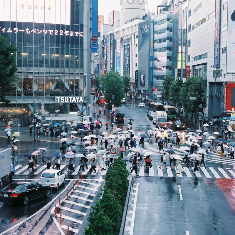 強テイストの私で、中身まで強く