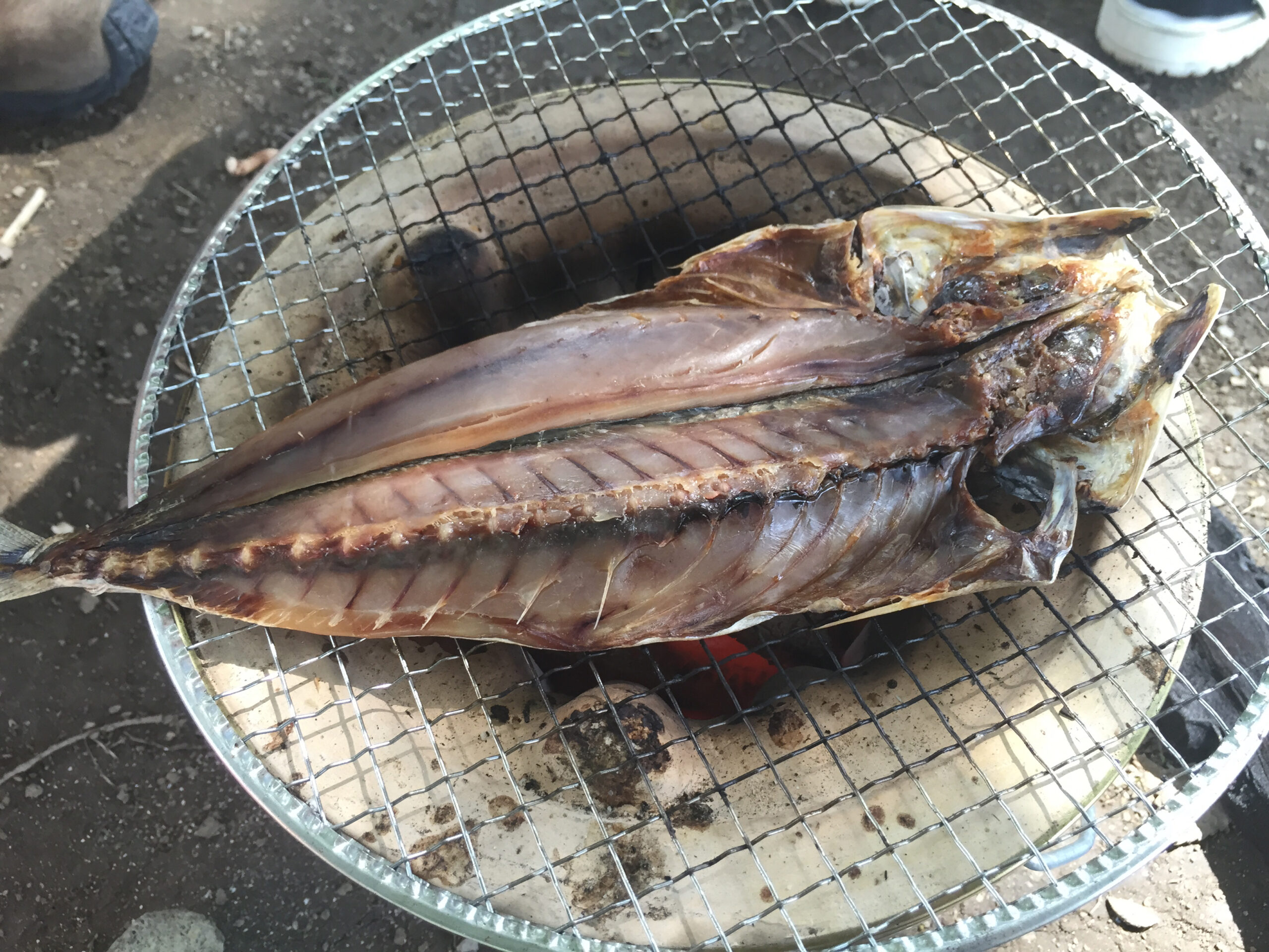 さ|「さかな」で疲れた体に栄養を与えて