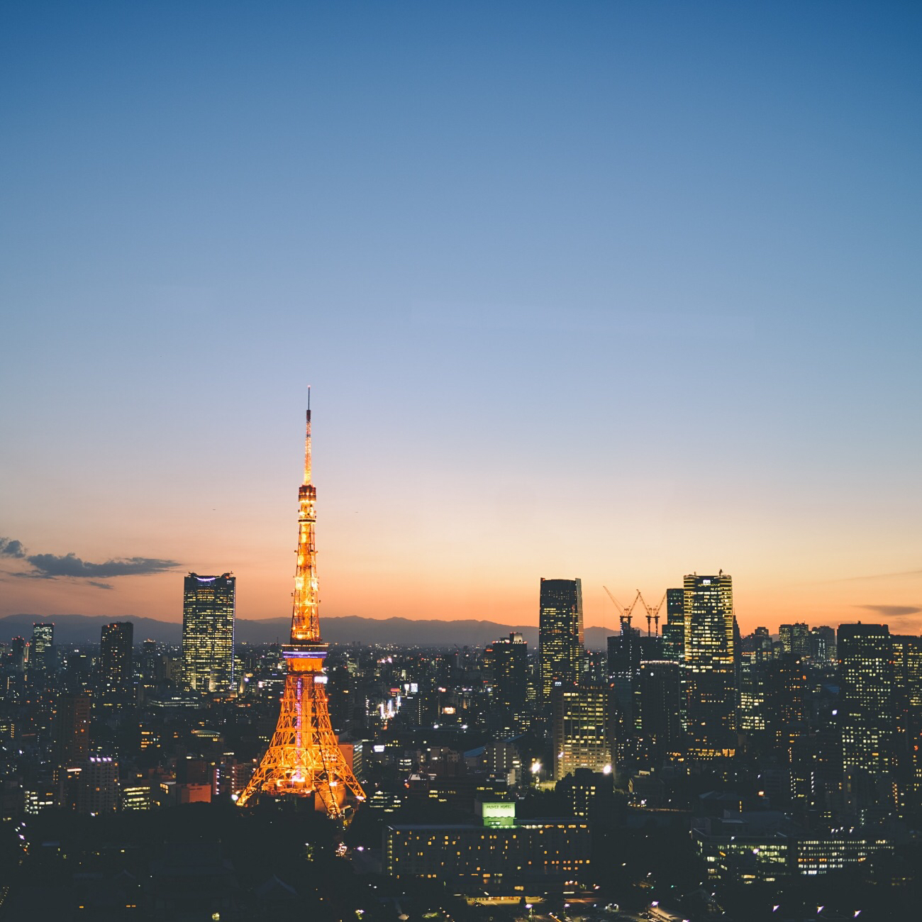 spot3:東京タワー