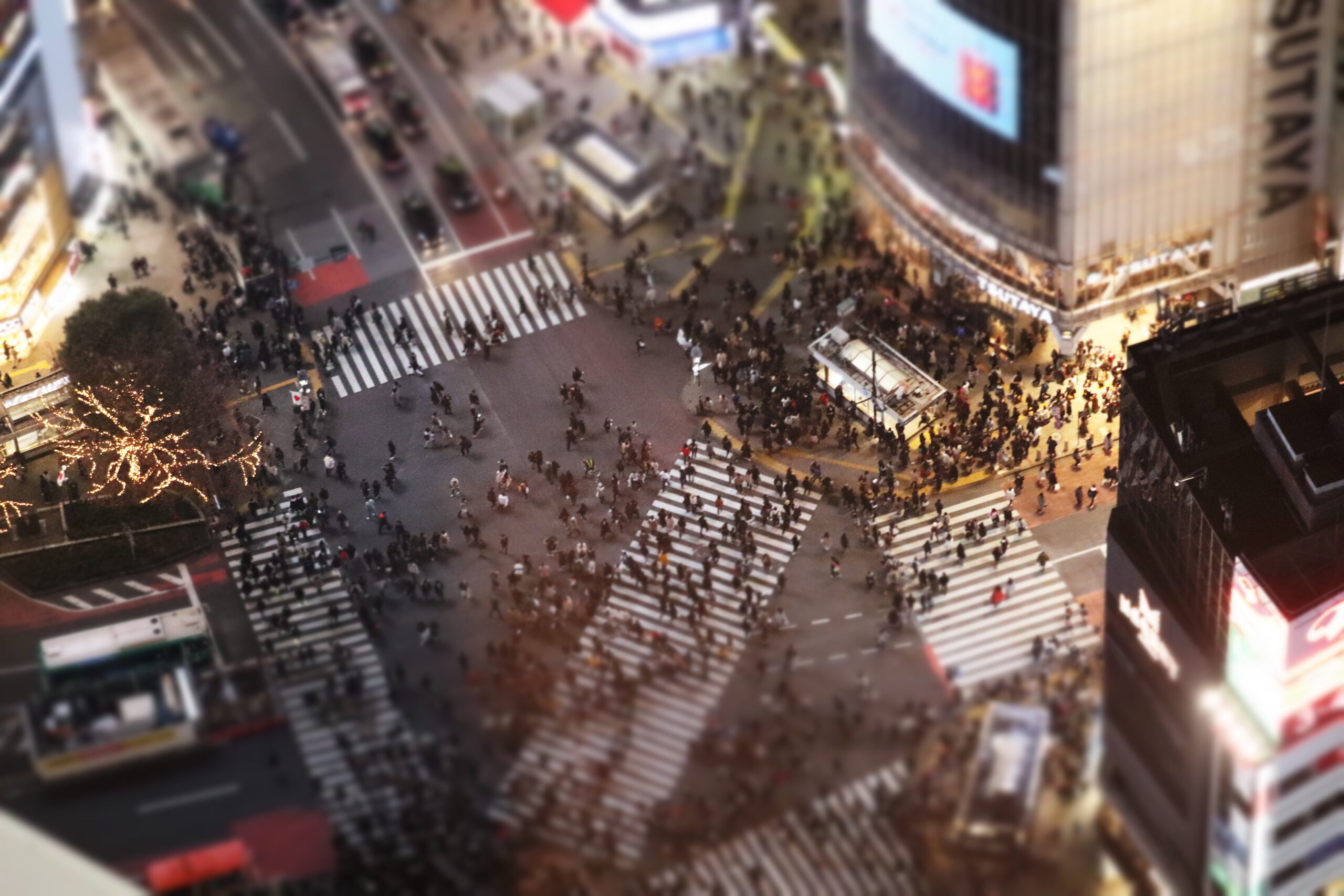 これであなたも、渋谷のツウgirl