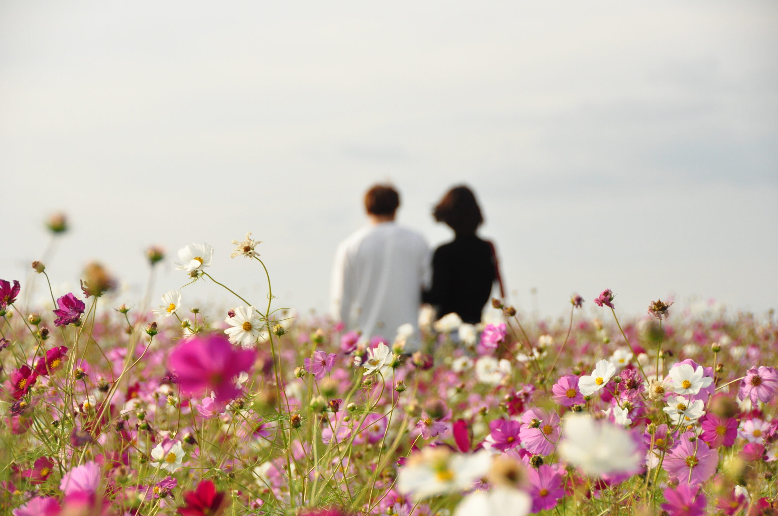 「め」んと向かって言えたらいいな