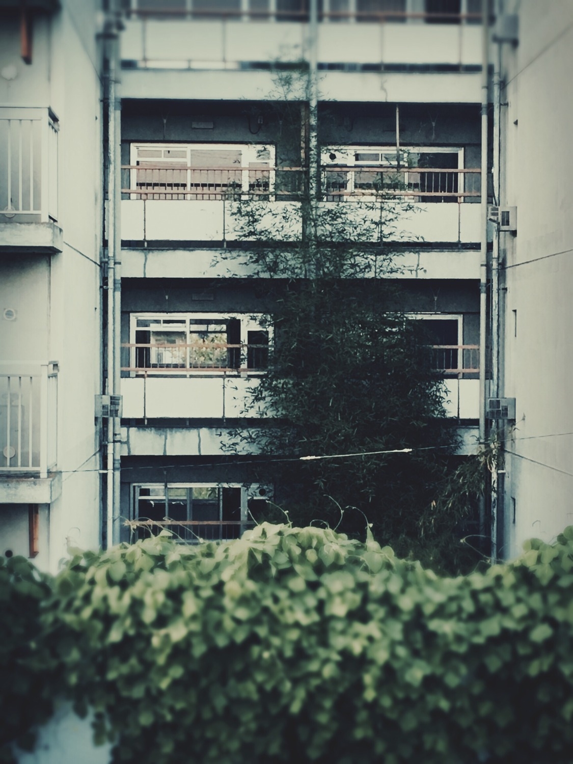 戦慄迷宮