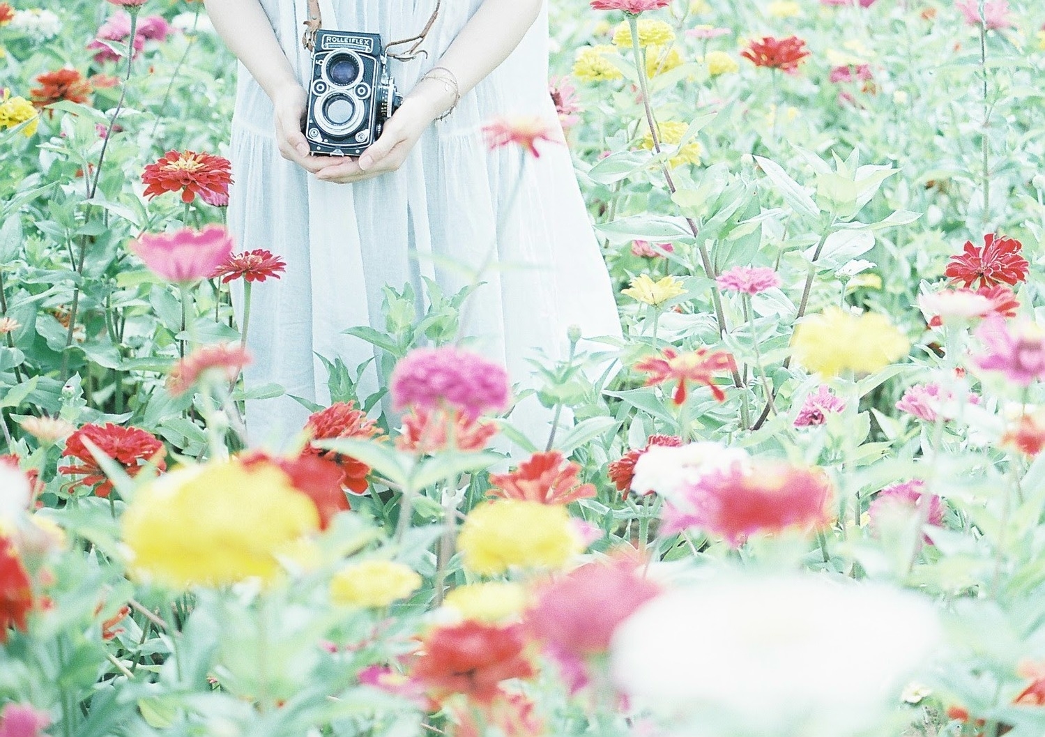 ちょっと足を伸ばしてお花畑に行こうかな