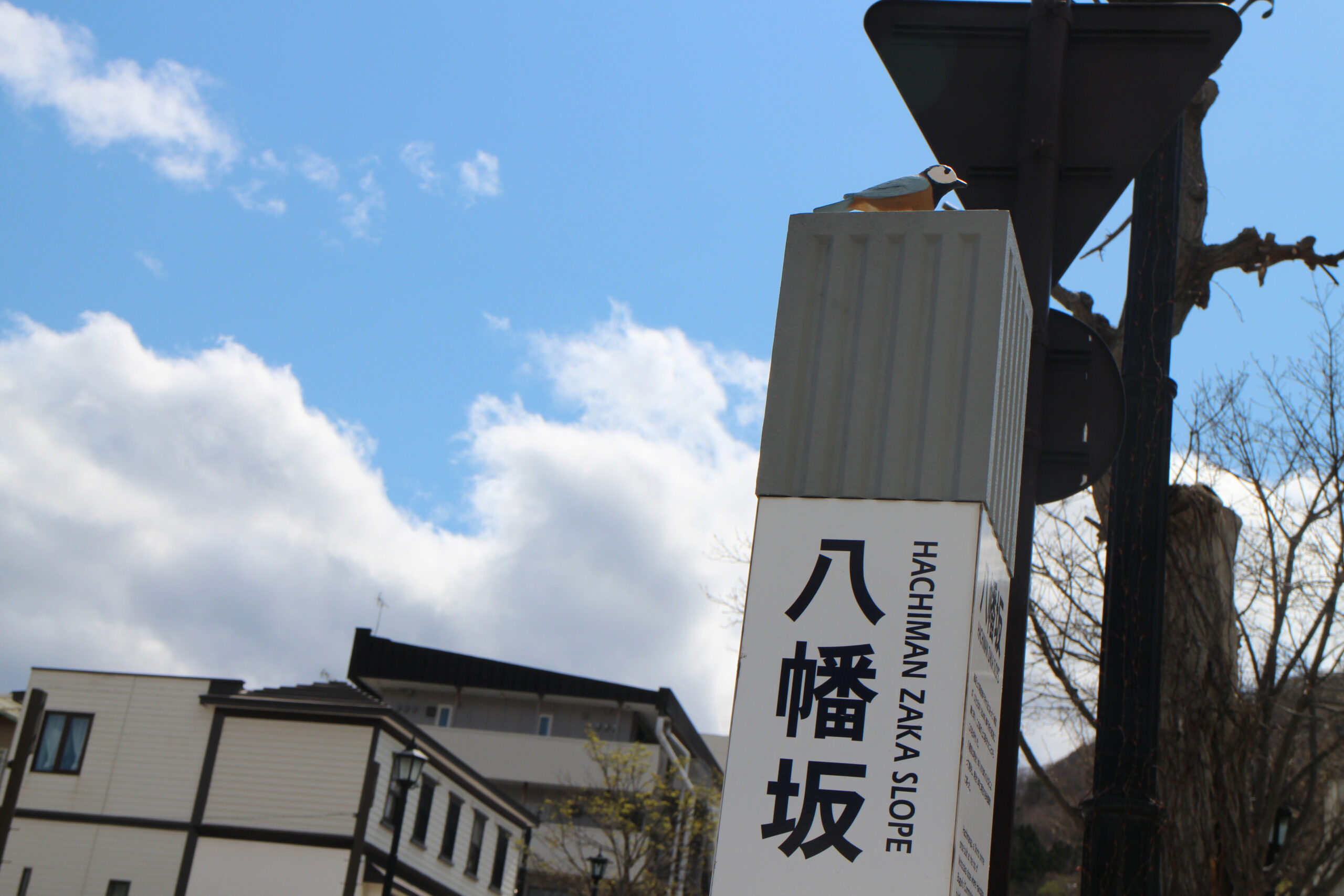 |八幡坂