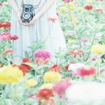 春夏秋冬いつだってお花と一緒にいたいの。ときめき叶える全国お花畑LIST♡