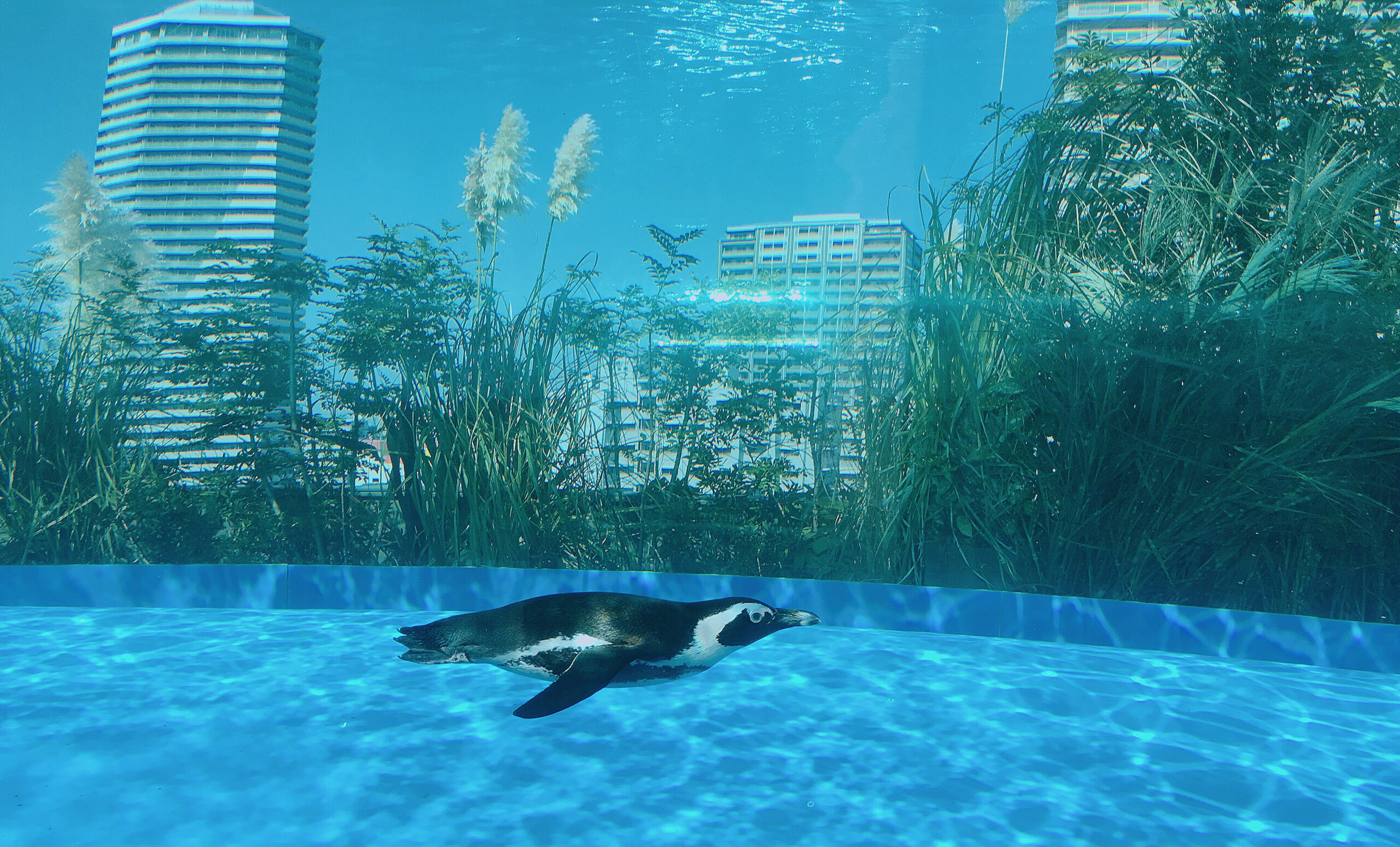 4:水族館