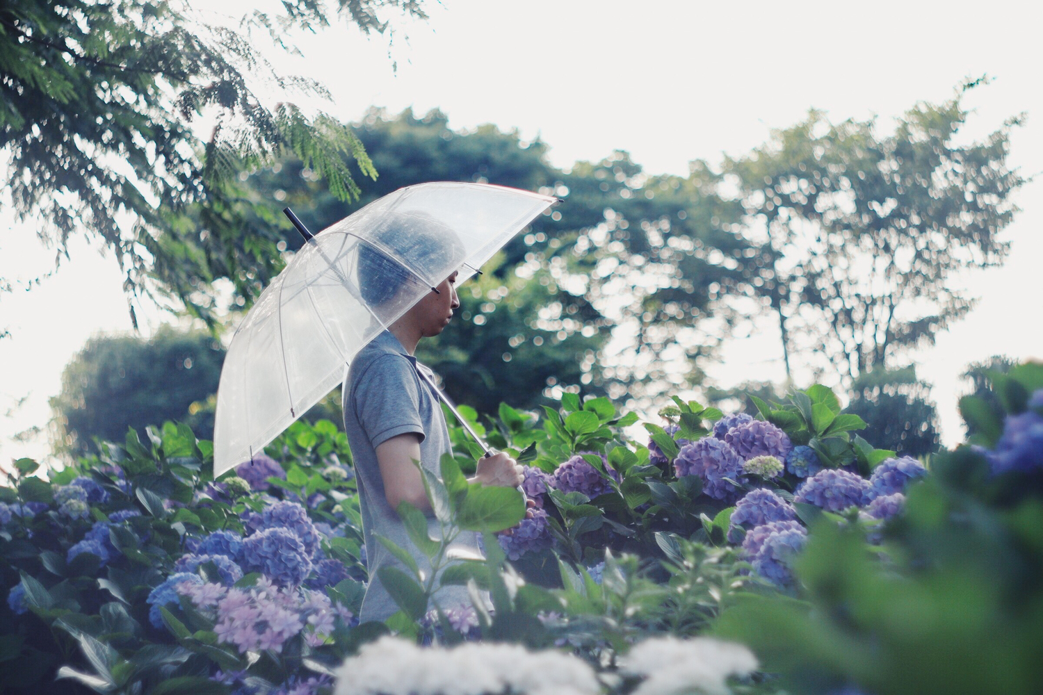 雨の日でも楽しい時間を過ごせますように