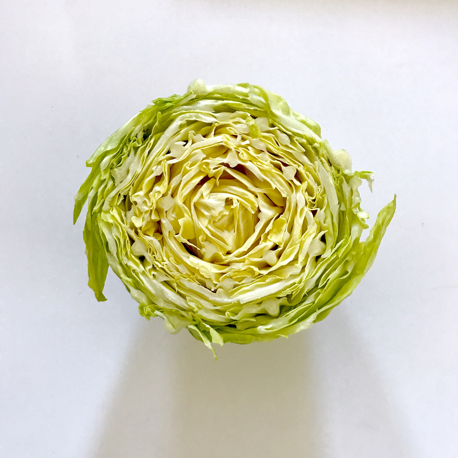 生理時は特に栄養バランスを注視!