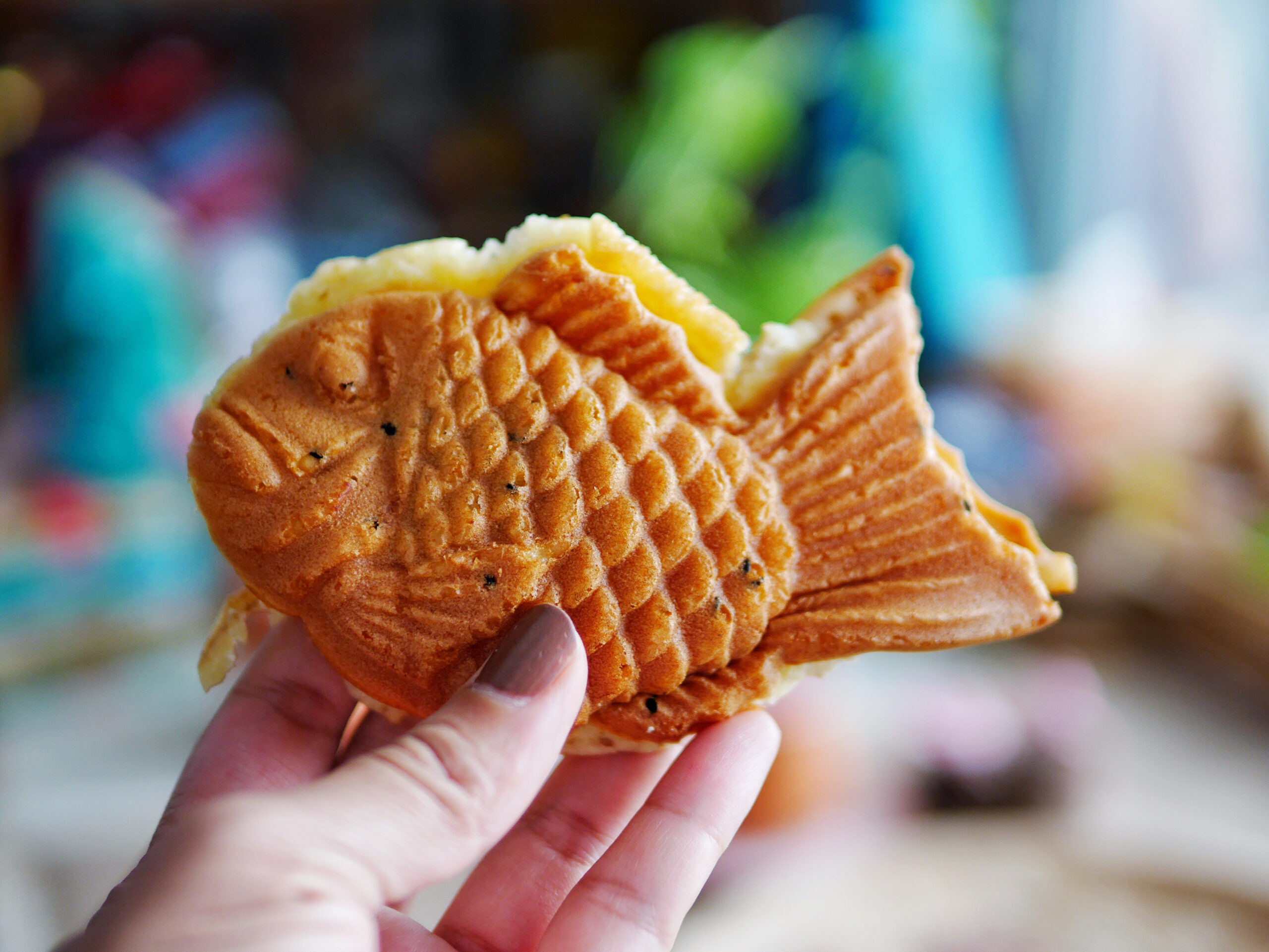 いざ行かん、鯛焼き巡りへ