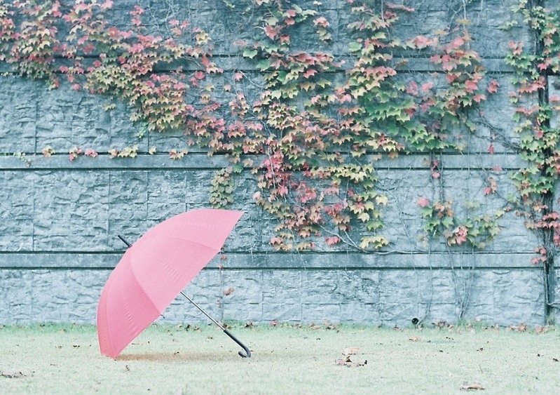 雨の日の準備、どうしてる?