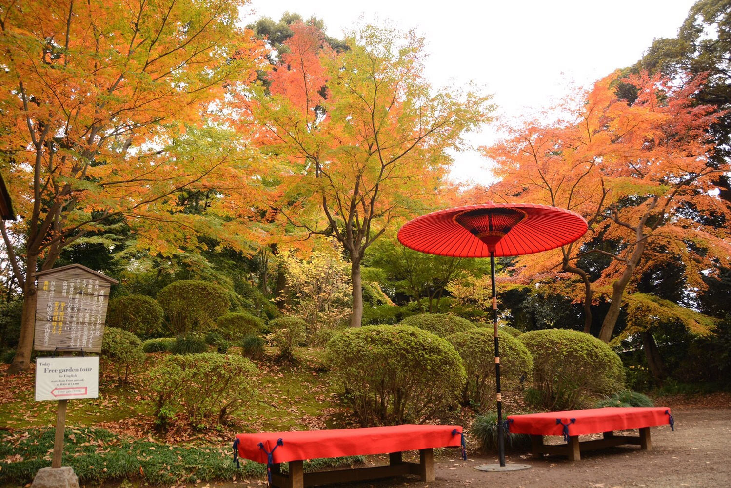 SPOT4|六義園