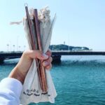 未来のために、エコ生活はじめませんか？使い捨てないマイストローをGETせよ