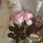 贈ったり飾ったり。ドキッとさせる花言葉とフラワーベースで、お花との暮らしを。