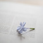 【悩み別】今、この本を求めてなかった？心に寄り添う一冊をあなたに贈る