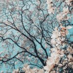 メイクなしでも、綺麗でいたい。内側から溢れる魅力を引き出す4つのmethod