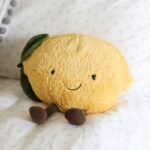 My car is a lemon.は私の車はレモン？知っておきたい英語フレーズ集