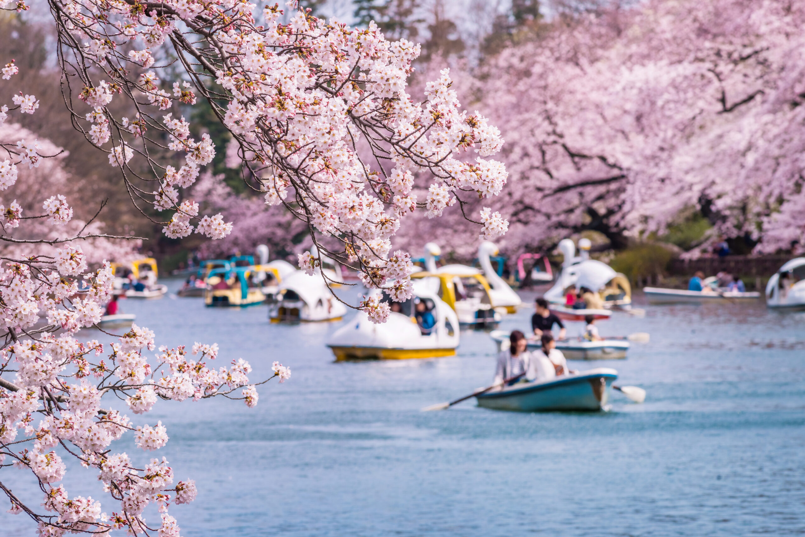 来ました、吉祥寺。
