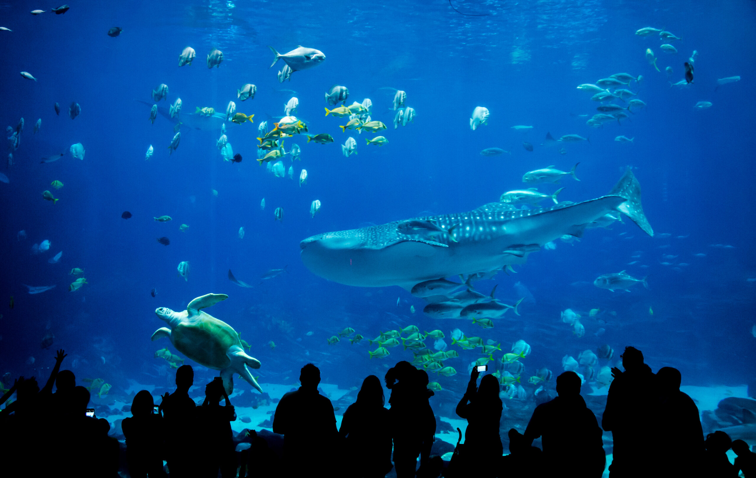♡|室内だから快適な水族館