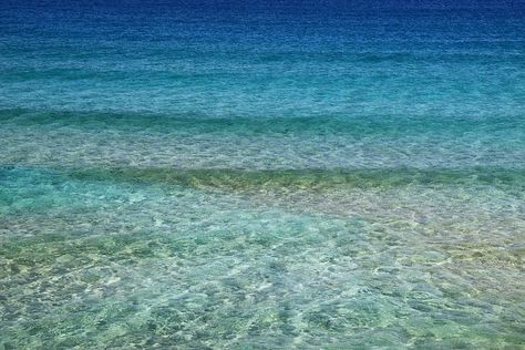 夏