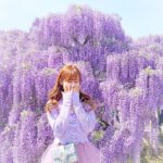 〈関東編〉ファインダー越しの君と揺れるお花。カメラを片手に出かけたいお花畑♡