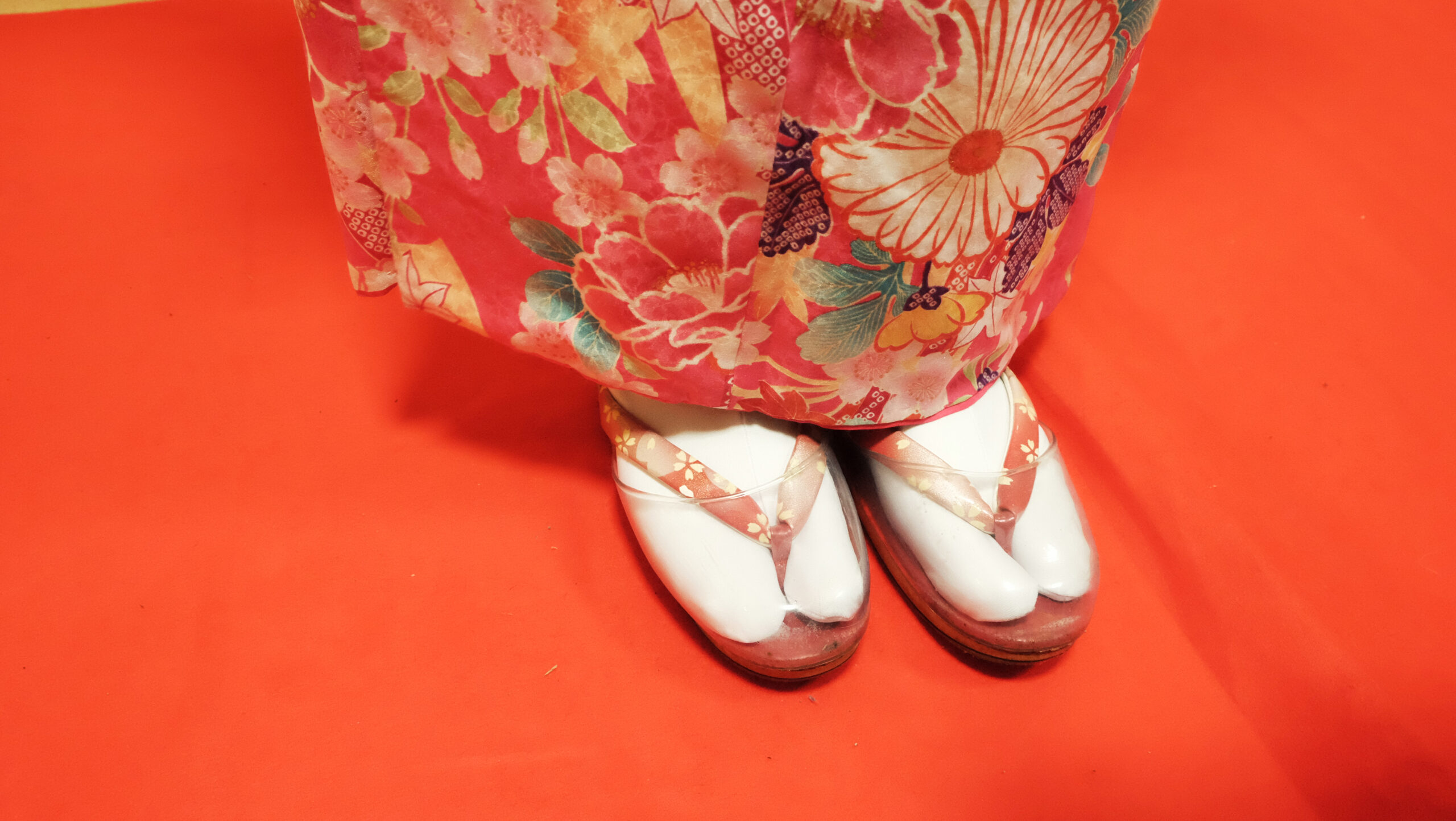行先はもう決まった?