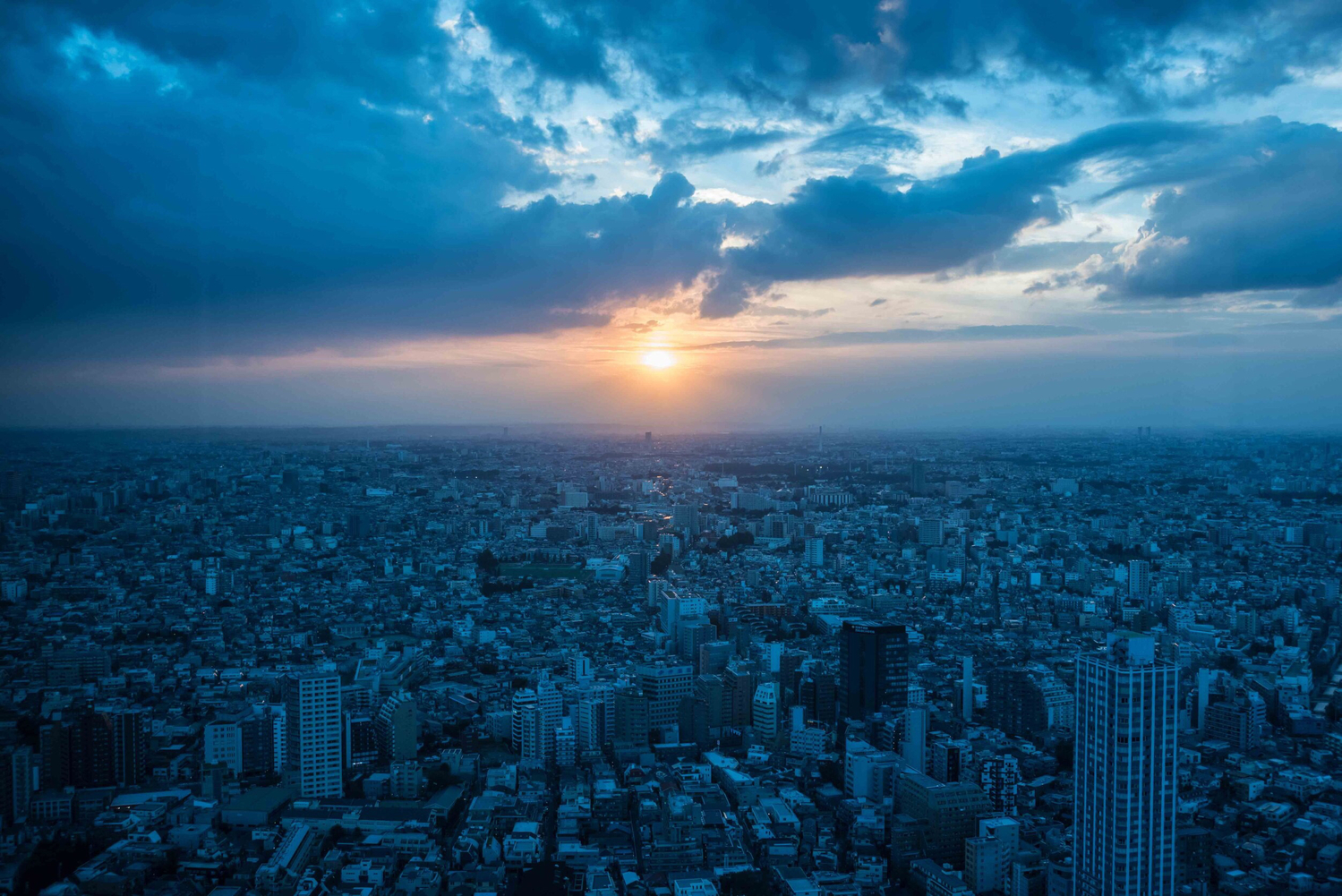 東京都庁