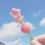 映え＆食べやすい＝100点満点！‘串スイーツ’と周辺観光地をまとめてCHECK