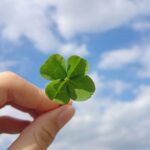 花言葉を知っているだけで、世界が広がる。まず12個の誕生花から押さえておこう