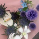 毎日の暮らしに花を。代わり映えしない日々をパッと明るくしてくれる魔法のお花
