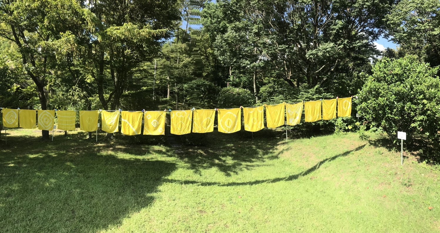 写真は思い出と共に増えていく
