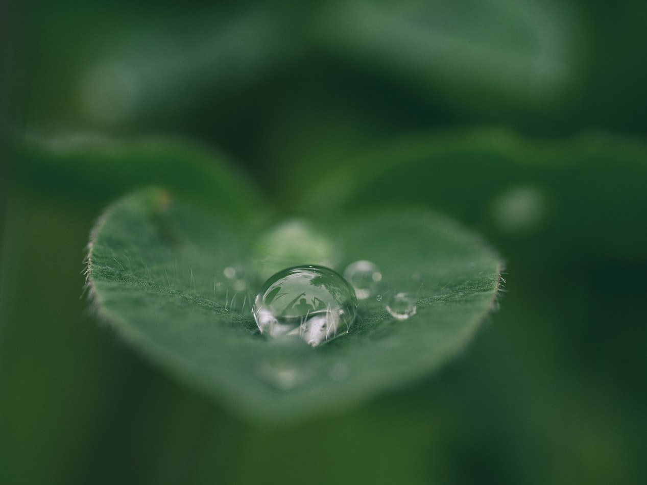 1.水気はしっかり切ってね