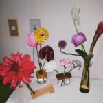 お花は男子があげる側って、誰が決めたの？フランクに‘花を贈り合う関係’のススメ