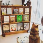 本棚DIYで見せる収納に。かさばる本をお洒落にしまって、インテリアを楽しもう