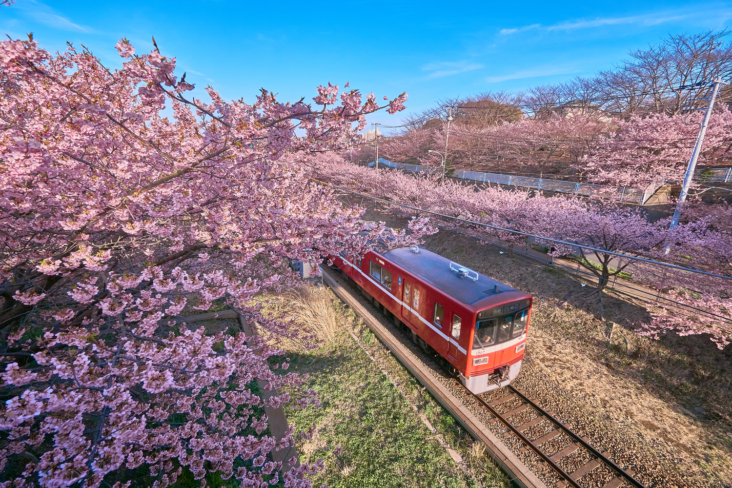 関東版:使いたいお得な乗車券選