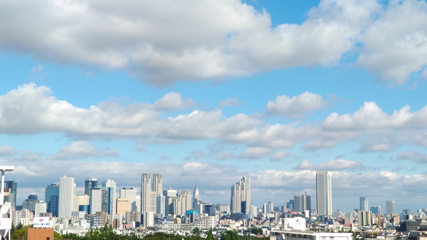 圧倒的ビル街・新宿