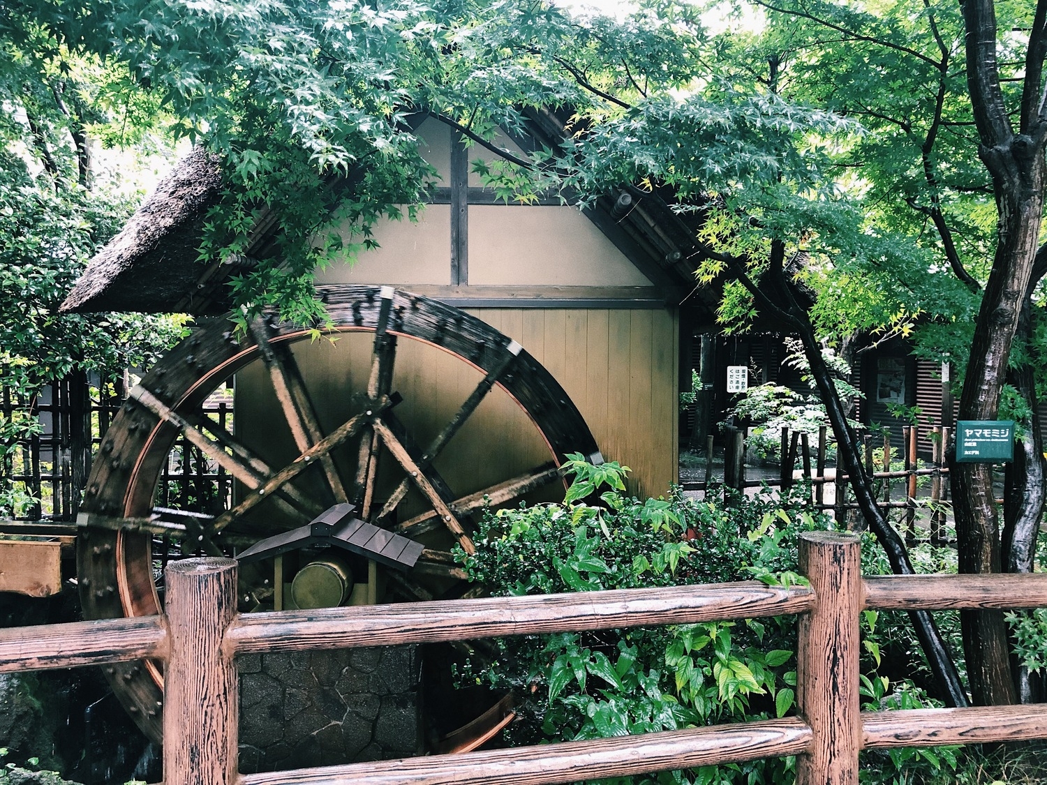 どんなコーデで向かう?