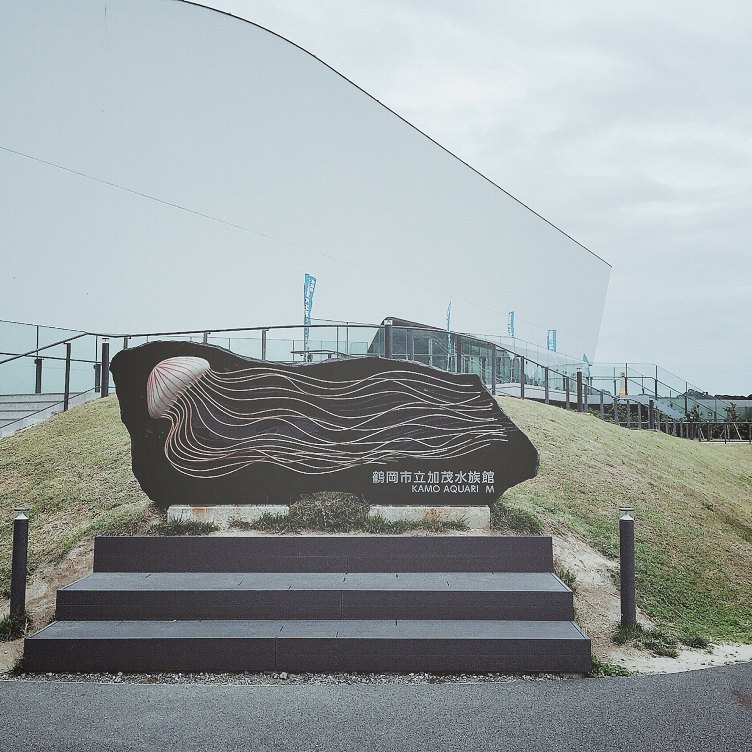 ⚪︎○世界一のクラゲ水族館○⚪︎