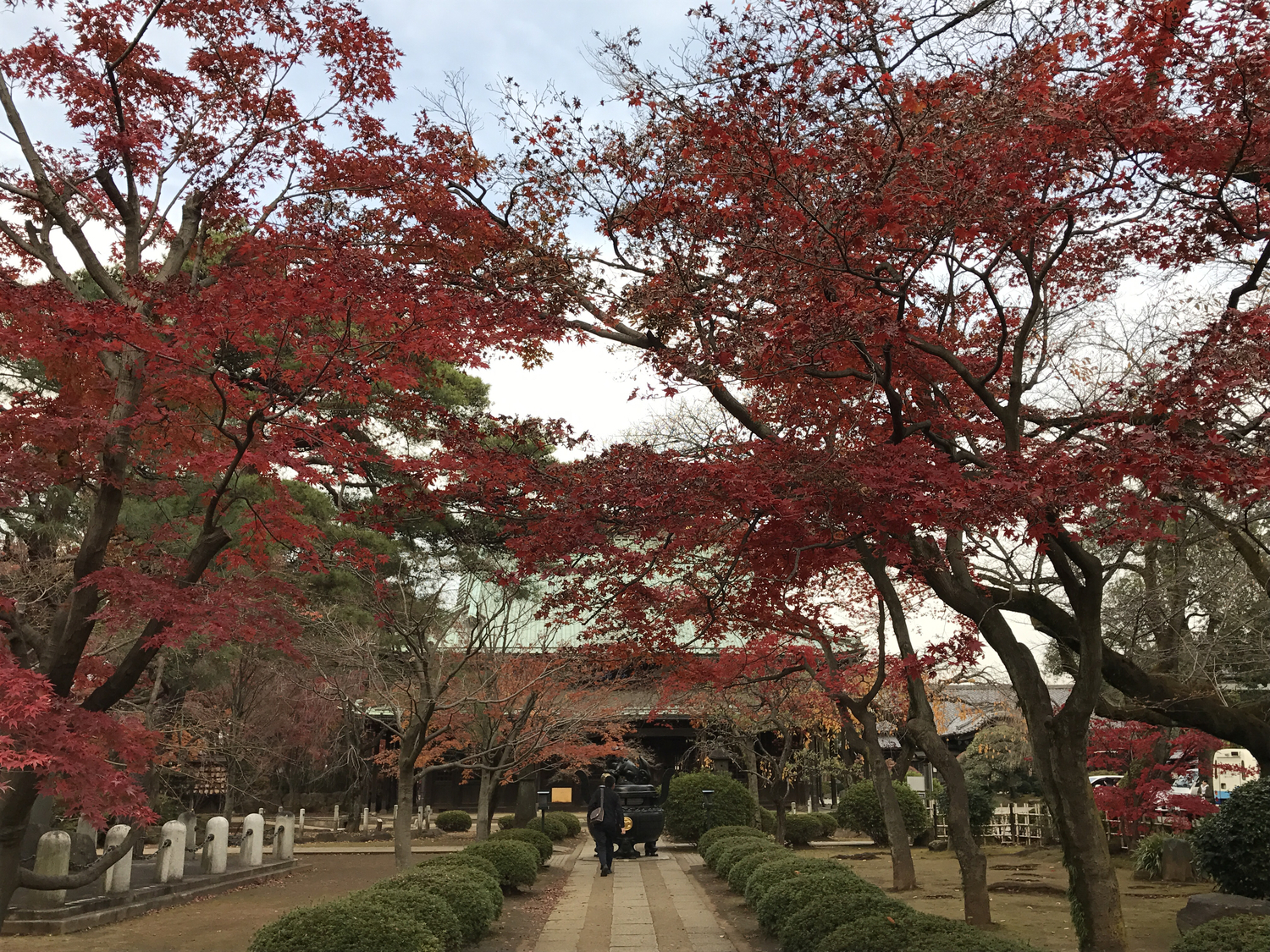 豪徳寺(寺)