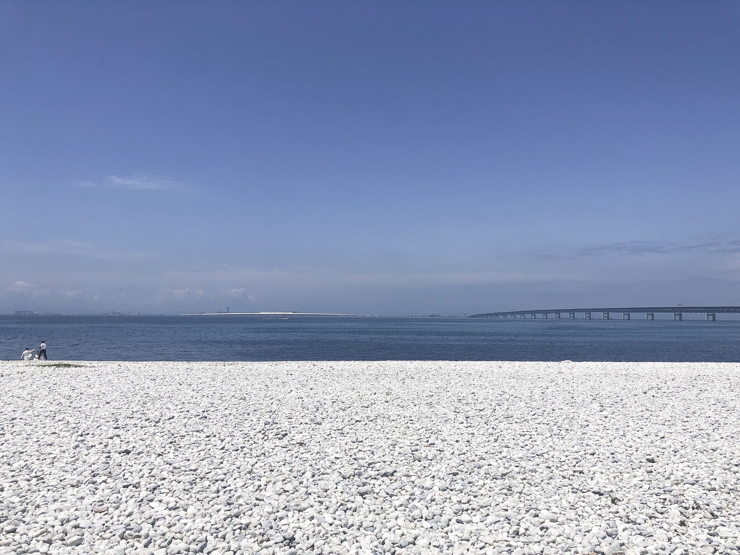 【大阪府】泉南りんくう公園