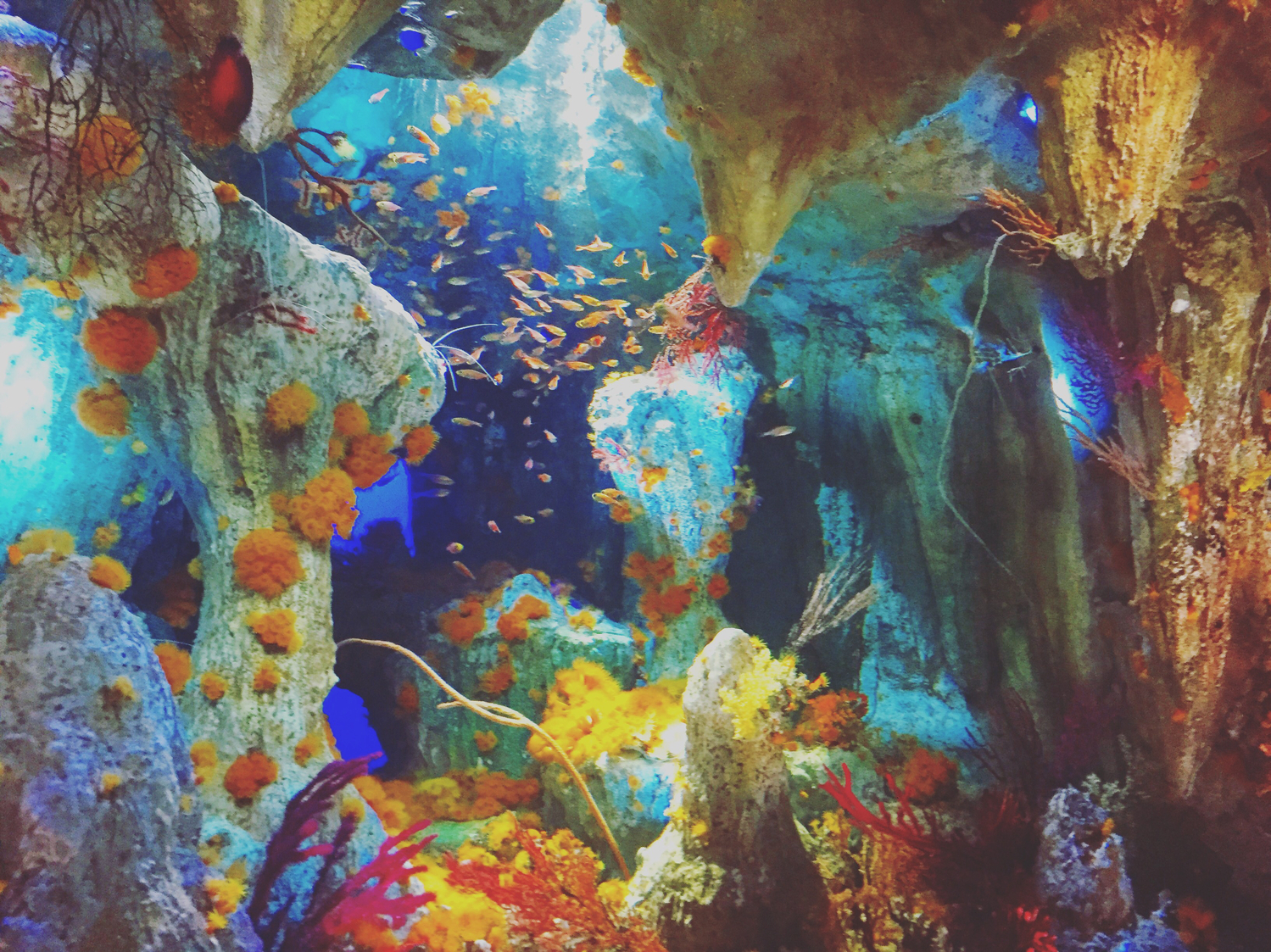 #サンシャイン水族館