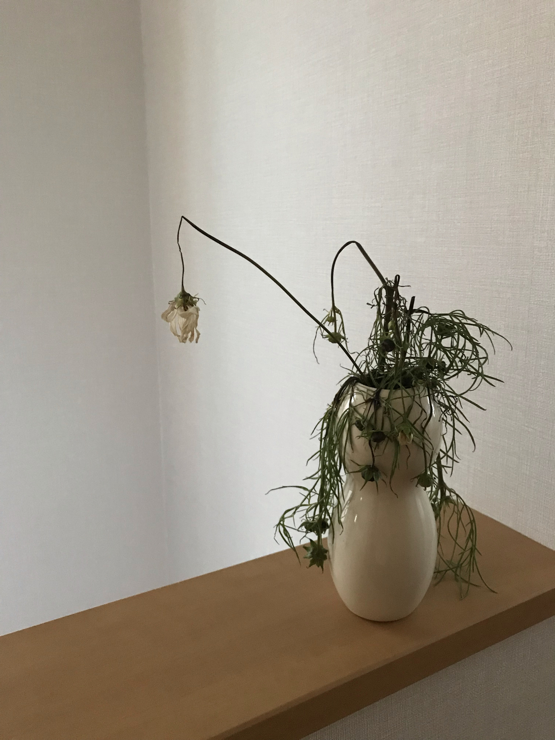 (1)年収や学歴で答える